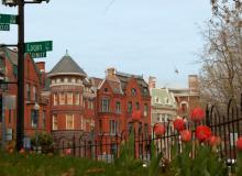 View of homes in Logan Circle neighborhood with flowers in foreground.