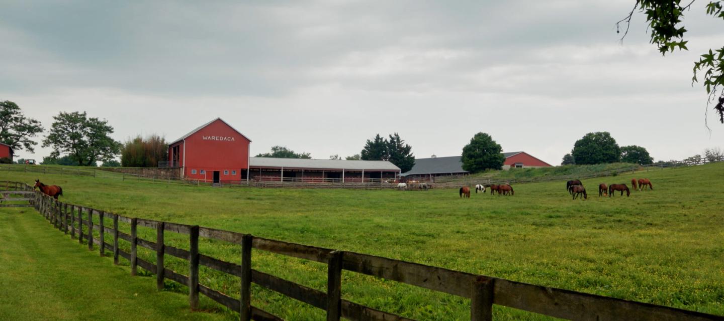 Farm scene near Sandy Spring, Maryland