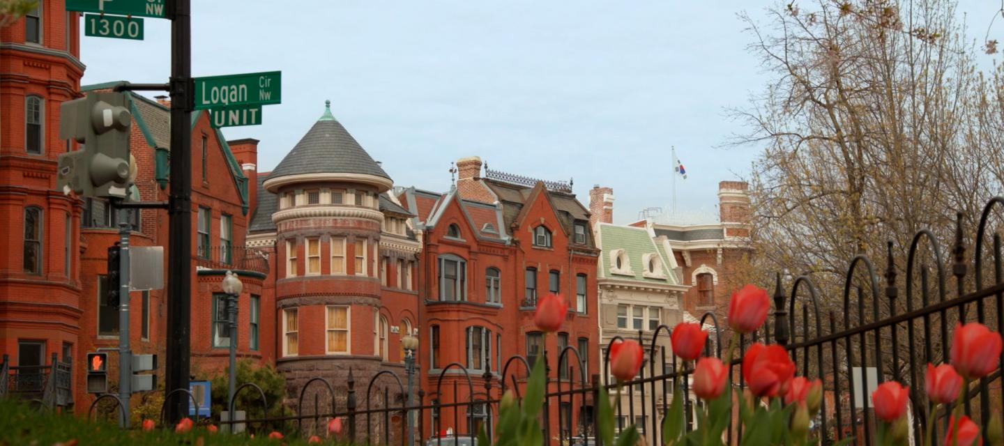 View of homes in Logan Circle neighborhood with flowers in foreground.