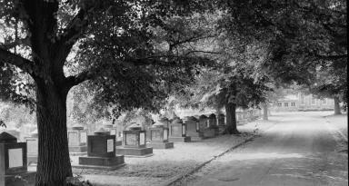 View of the Congressional Cemetery in the 1930s