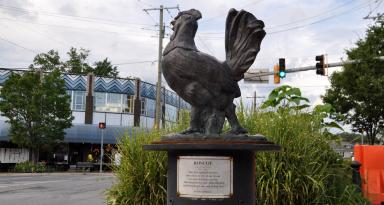  Roscoe the Rooster statue in Takoma Park. (Credit: Flickr user BeyondDC. Used via Creative Commons Attribution-Non Commercial 2.0 Generic license.)